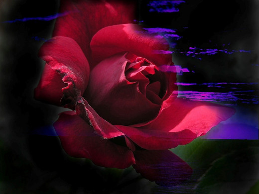 10197 (a): :1600x1200